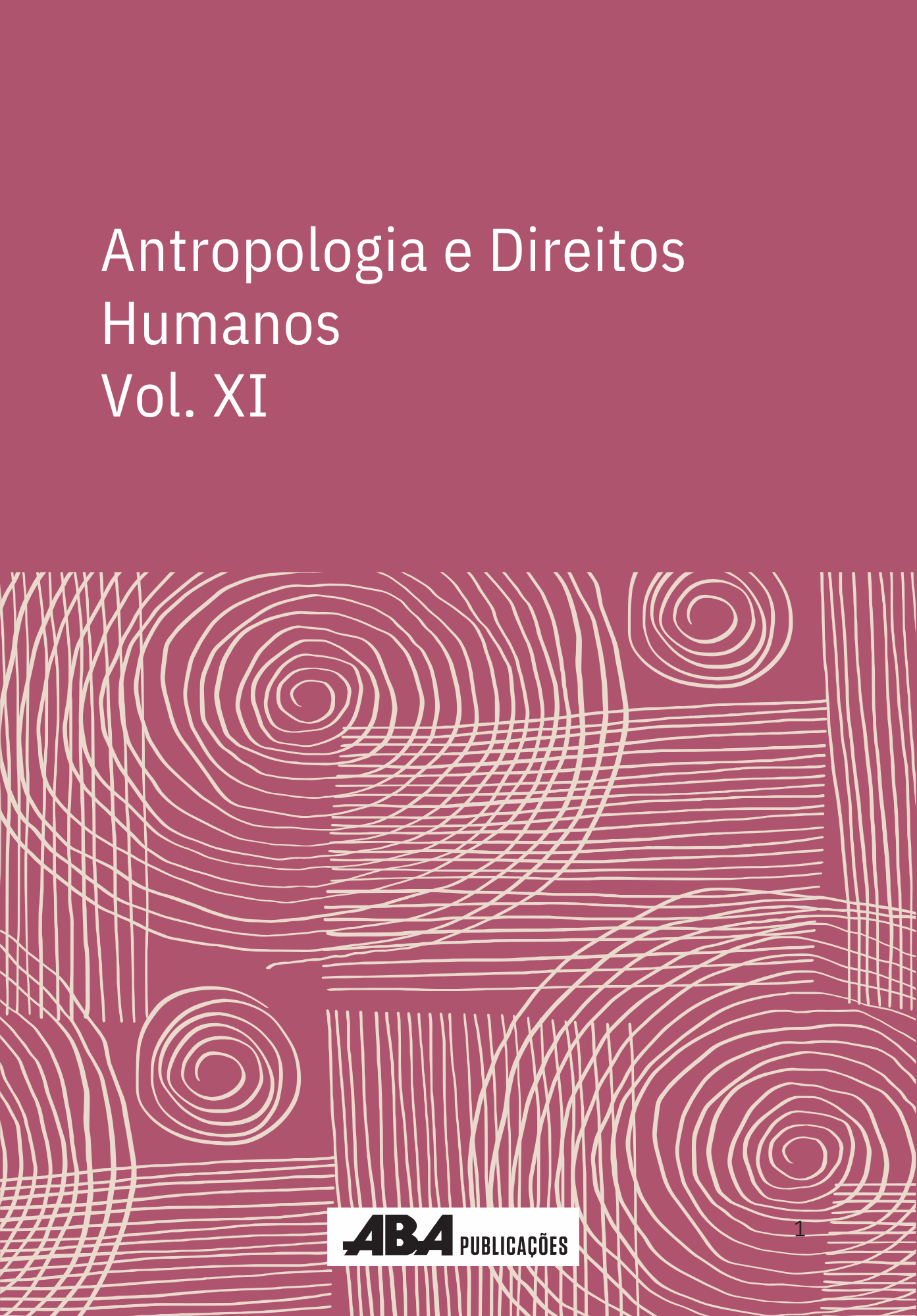 Capa do livro Antropologia e Direitos Humanos XI